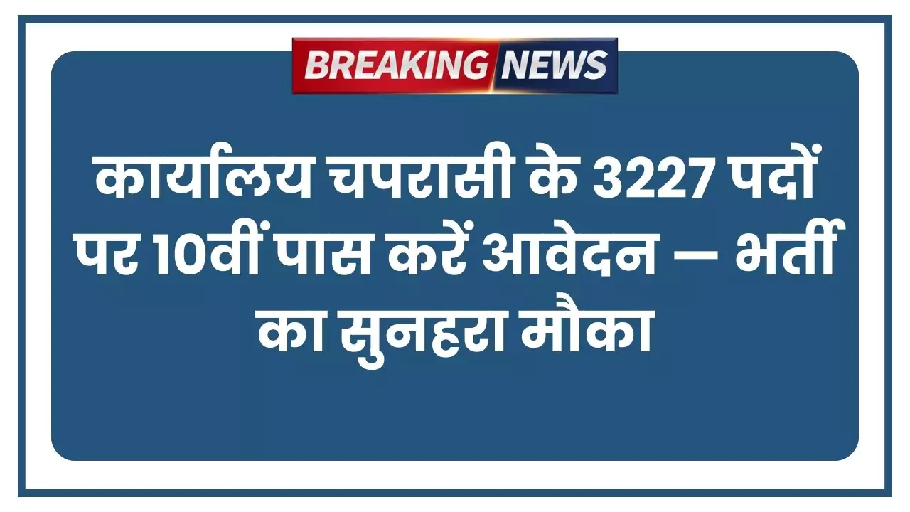 Office Peon Bharti 2025