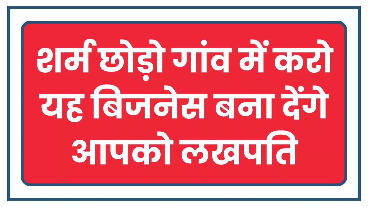Best Business in Village